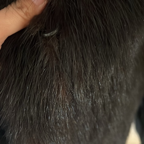 Saga Mink jacket - Picture 6 of 7